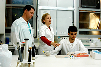 A professora Regina Maura Bueno Franco, coordenadora das pesquisas, ao lado dos pesquisadores Nilson Branco (à esquerda) e Diego Leal: investigações em diversos estados do país  