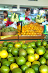 Laranjas Pera e tangerina Murcote expostas em mercado na região central de Campinas: cítricos são os mais importantes em termos de produção. (Foto: Antoninho Perri)
