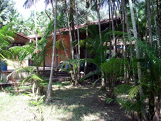 (Foto: Divulgação)