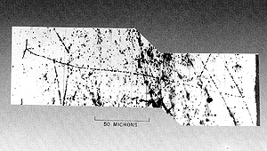 Fotomicrografia de um méson-pi produzido no cíclotron de 184’’ (MAST/Arquivo de História da Ciência)