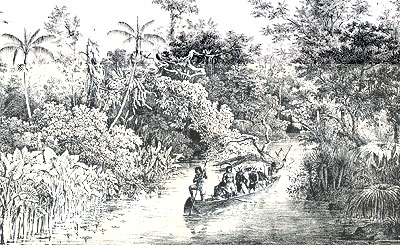 Ripae Fluvii Itahtpe, Prov. Bahiensis