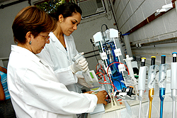 As pesquisadoras Anete Pereira de Souza (à esquerda) e Karine Miranda Oliveira, do CBMEG: projeto de ponta com aplicações promissoras (Foto: Antoninho Perri)