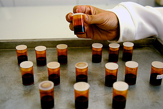 Acima, imagem microscópica produzida por Carolina Nóbrega: removido o verniz (à esquerda) à base de TiF4 da superfície tratada de esmalte (parte escura), fica a camada álcali-ácido resistente