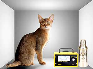 Ilustração da metáfora do "gato de Schrödinger": dispositivo perverso acionado por átomo radiativo (Foto: Reprodução/Wikpédia)