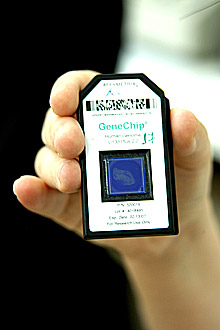  O chip usado nas investigações: equipamento de última geração