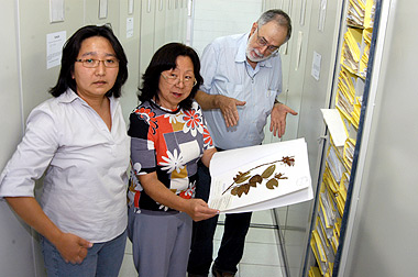 Leila Fumiyo Yamamoto, autora da tese, com os professores Luiza Sumiko Kinoshita e George John Shepherd: estudo concentrou-se em 1.074 plantas (Foto: Antoninho Perri) 