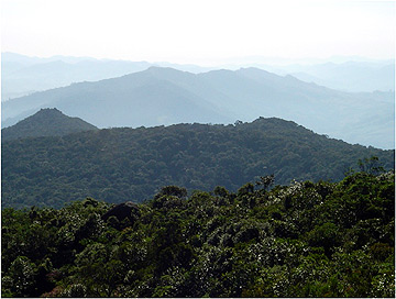 Vista parcial da Serra do Lopo, que fica localizada na divisa dos estados de Minas Gerais e São Paulo: apenas 25% das espécies são comuns a ambas as faces (Foto: Divulgação) 