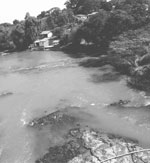 Rio Atibaia, que abastece Campinas: Cryptosporidium e Giardia em amostras de água bruta