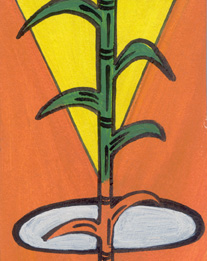 (Foto: Antoninho Perri)