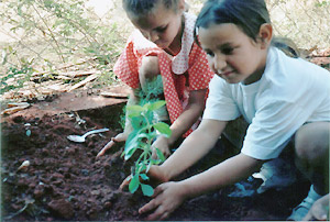 Crianças plantam mudas em assentamento rural em Sumaré: educação ambiental