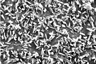Superfície da alumina modificada com ácido oxálico recoberta com cristais de fosfato de cálcio: método desenvolvido por pesquisadores se mostrou muito rápido (Foto:Divulgação)