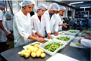 Pesquisadores em laboratório da Faculdade de Engenharia de Alimentos: esforço interdisciplinar 