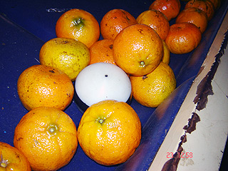 Carregamento de frutas com o sensor ao centro