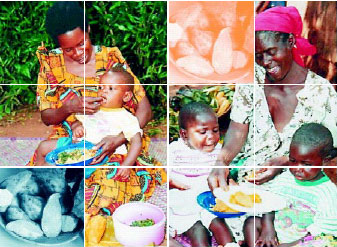 Mães ugandenses alimentam filhos com a batata-doce alaranjada: programa é a esperança para 30 milhões de crianças