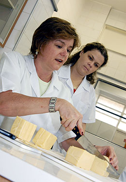 A professora Mirna Lúcia Gigante manipula amostras de queijo prato, o segundo mais consumido do país: trabalhos apresentados nos EUA (Foto: Antoninho Perri)