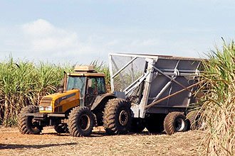 Transbordo desenvolvido pelos donos da Agricef, e já licenciado para empresa: equipamento é indicado para o transporte intermediário da cana-de-açúcar, entre a colhedora e o caminhão que levará a produção até a usina (Fotos: Divulgação)