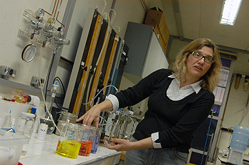 A professora Leila Peres, da Faculdade de Engenharia Química: “um  dos grandes problemas em alimentos  embalados é a presença do oxigênio”  (Fotos: Antoninho Perri)