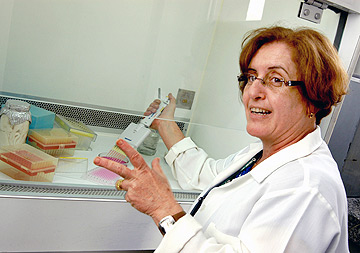 A professora Maria Silvia Viccari Gatti, coordenadora das pesquisas: genotipos diferentes em circulação (Foto: Antoninho Perri)