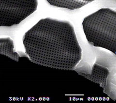 Microscopia eletrônica da nanopeneira (Imagens: Divulgação)