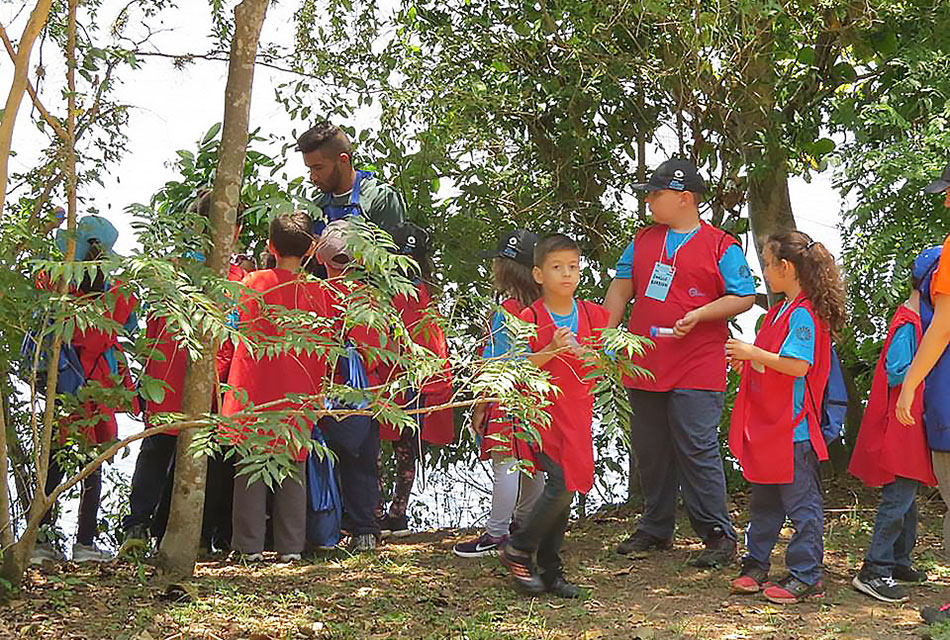 Participantes do Férias no Museu caminham durante oficina ao ar livre no Parque Ecológico Hermógenes Leitão Filho