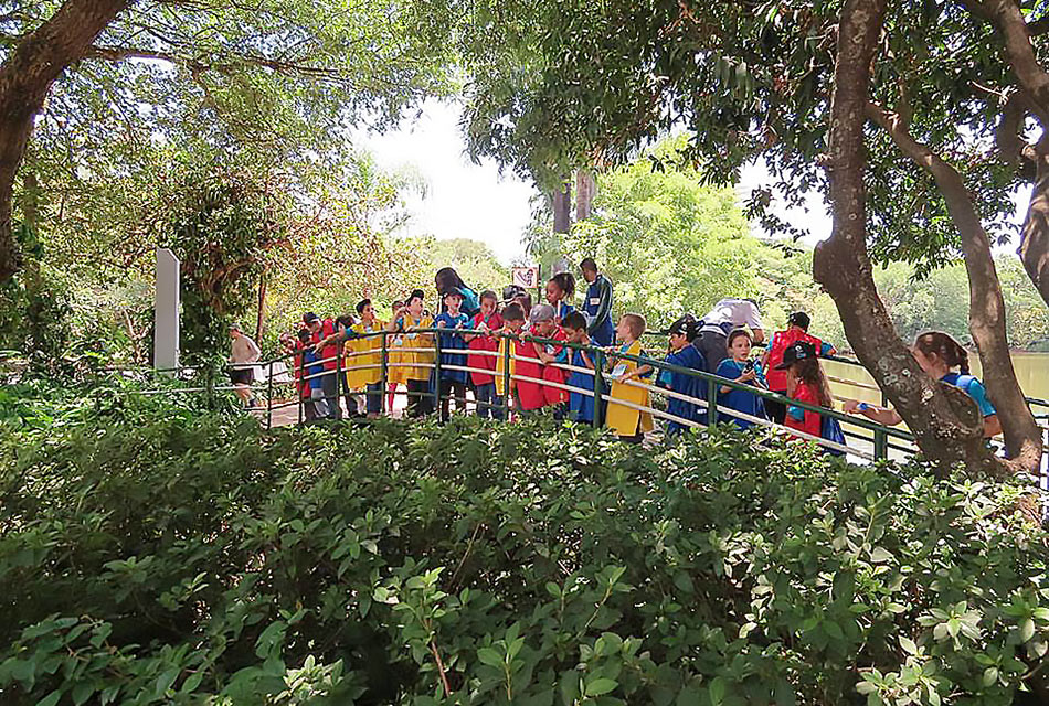 Participantes do Férias no Museu caminham durante oficina ao ar livre no Parque Ecológico Hermógenes Leitão Filho