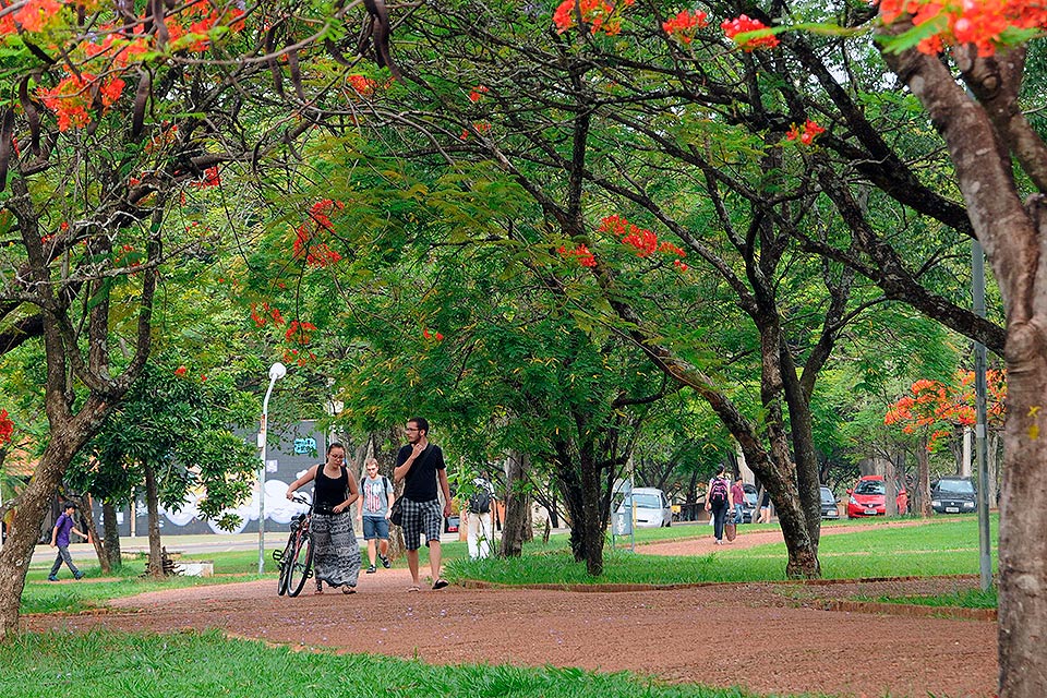 Praça da Paz, campus da Unicamp em Campinas