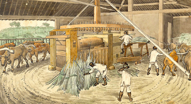 Moenda de açúcar movida por bois, 1840, aquarela e nanquim sobre papel. (Coleção Cyrillo Hércules Florence). Moenda de açúcar movida por bois, 1840, aquarela e nanquim sobre papel. (Coleção Cyrillo Hércules Florence).