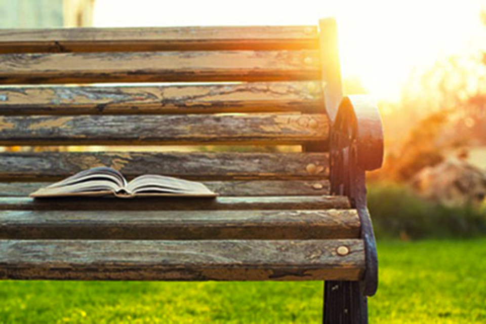 Livro perdido: ache e fotografe Livro perdido: ache e fotografe