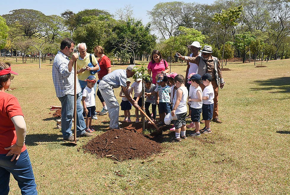 Crianças ajudam a plantar pau-brasil Crianças ajudam a plantar pau-brasil
