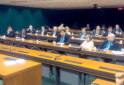 Professora Teresa Atvars, em Brasília, participa de audiência na Câmara dos Deputados