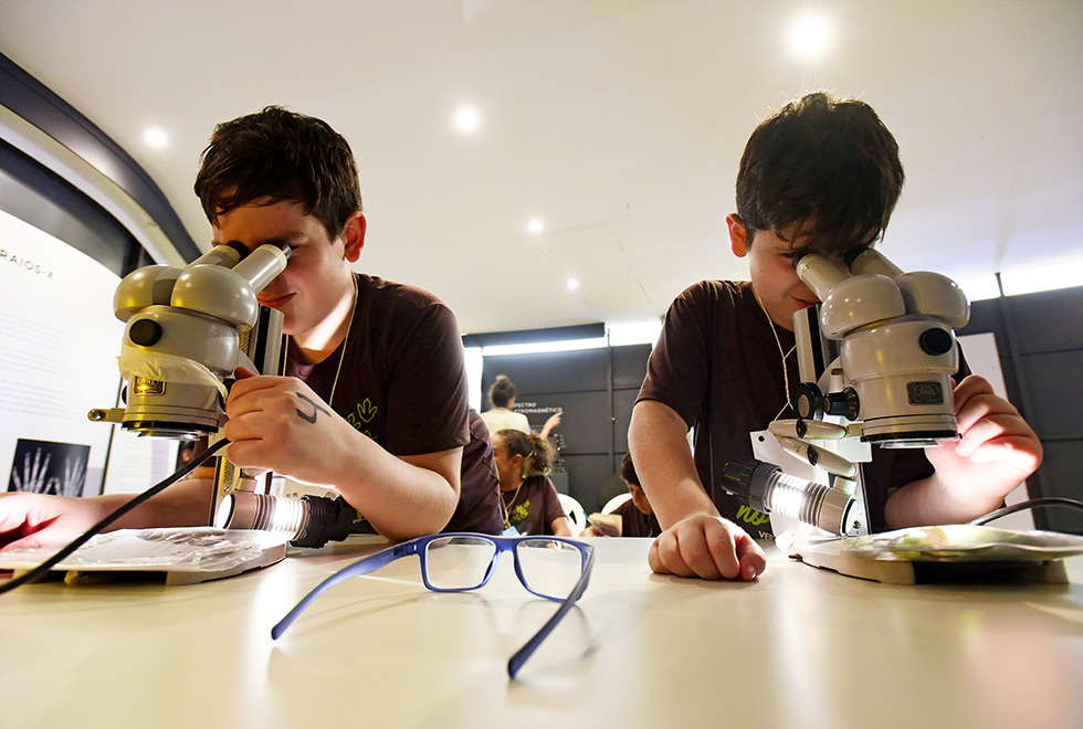 meninos olham em microscopio