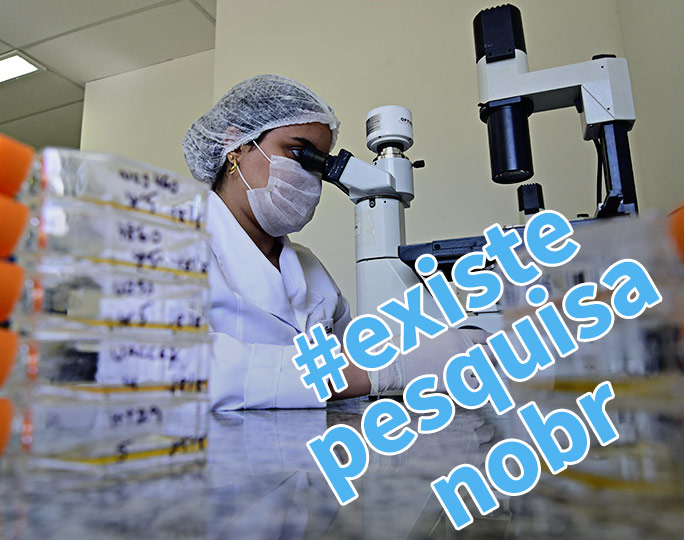 Pesquisadora no CPQBA | Foto: Antônio Scarpinetti | Montagem: Paulo Cavalheri Pesquisadora no CPQBA | Foto: Antônio Scarpinetti | Montagem: Paulo Cavalheri
