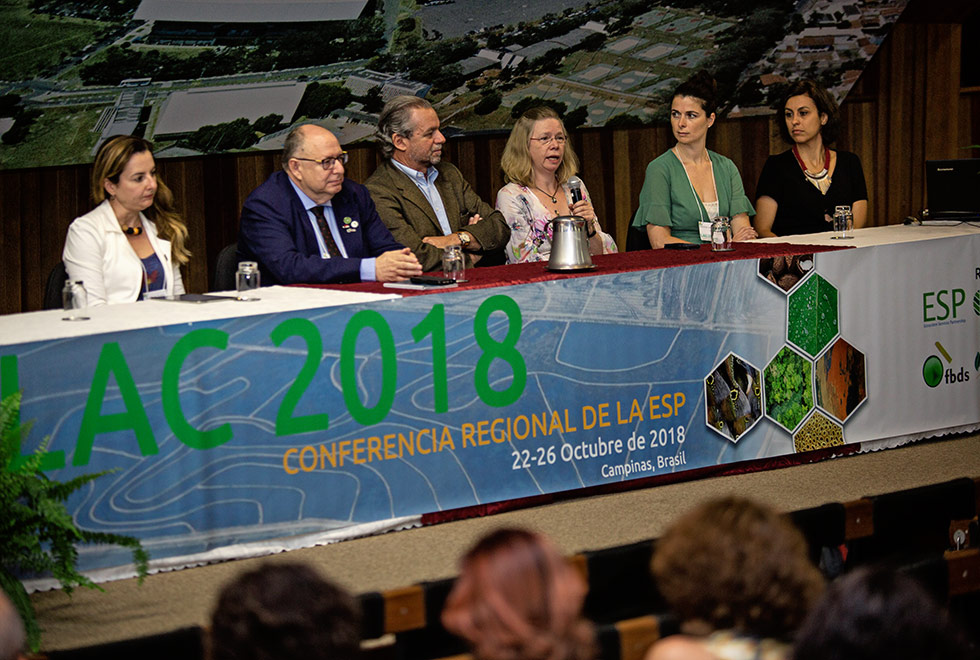 Ana Turetta, Carlos Joly, Joaquim Bustorff, Marie-Anne van Sluys, Martine van Weelden e Maíra Padgurschi