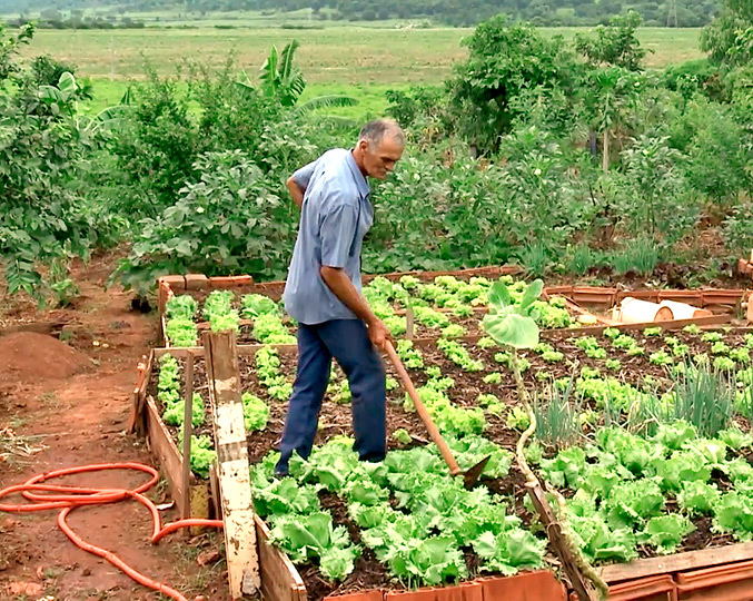 Projeto de extensão “Cultivando Hortas”