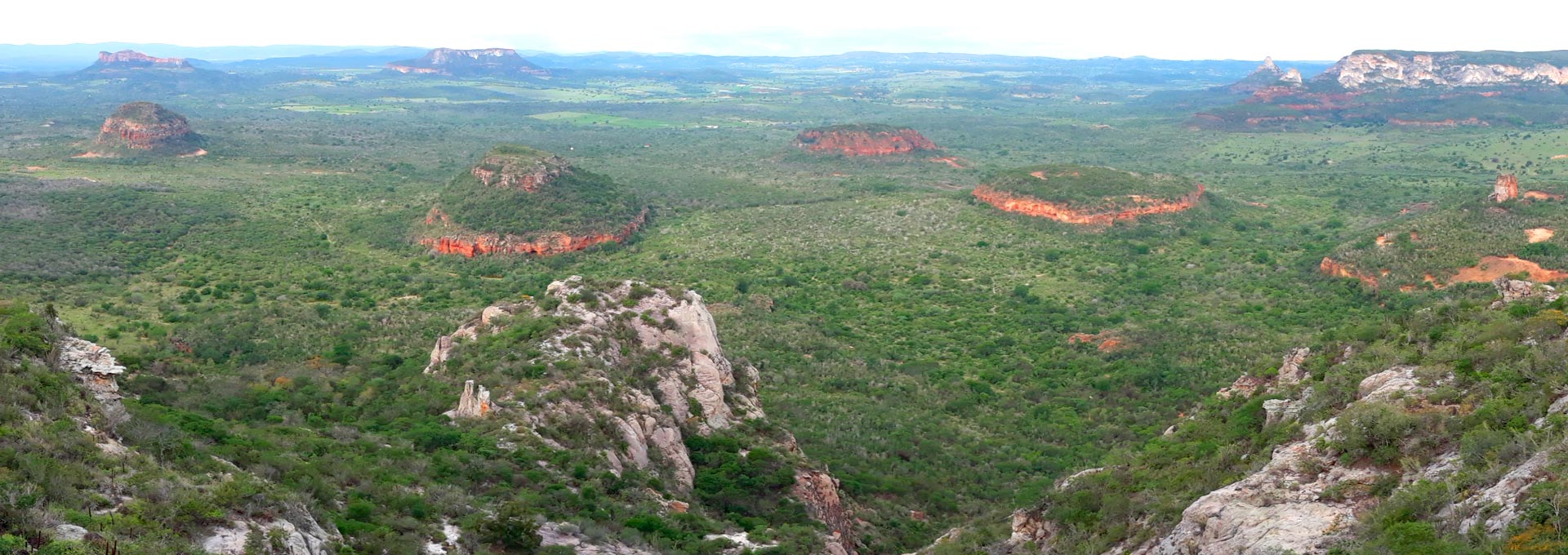 A Caatinga brasileira: bioma degradado em busca da conservação