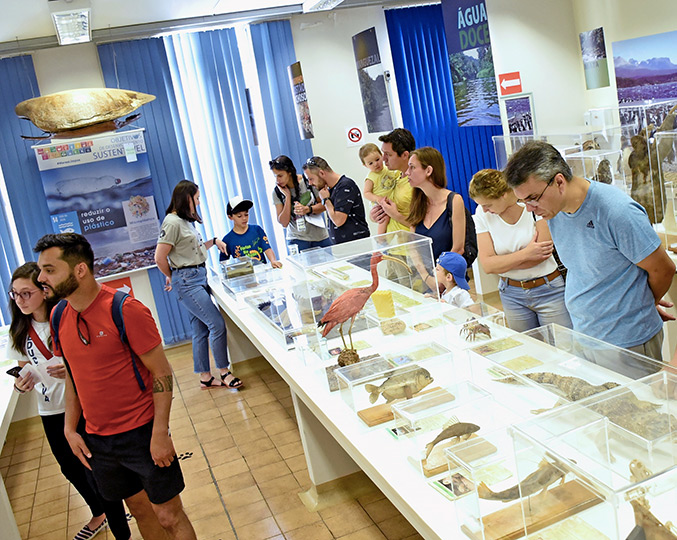 Atividades da MUPA no Museu de Zoologia