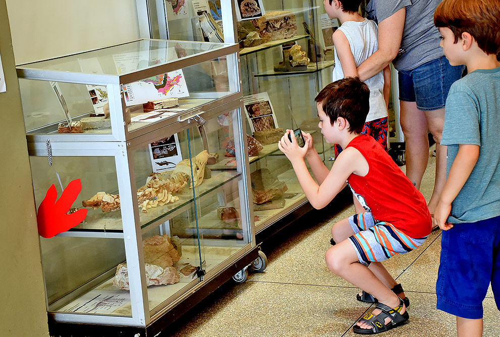 I MUPA - exposição de minerais