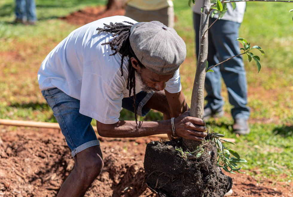 Baobá é plantado na Praça da Paz dentro da programação do Unicamp Afro