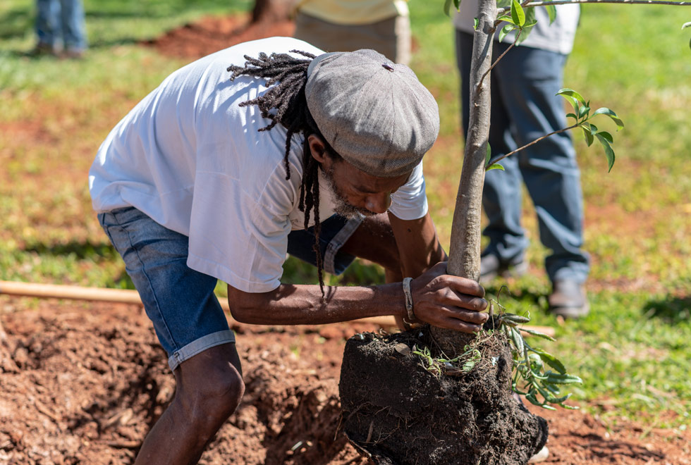 Baobá é plantado na Praça da Paz dentro da programação do Unicamp Afro Baobá é plantado na Praça da Paz dentro da programação do Unicamp Afro