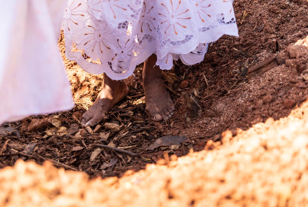 Baobá é plantado na Praça da Paz dentro da programação do Unicamp Afro Baobá é plantado na Praça da Paz dentro da programação do Unicamp Afro