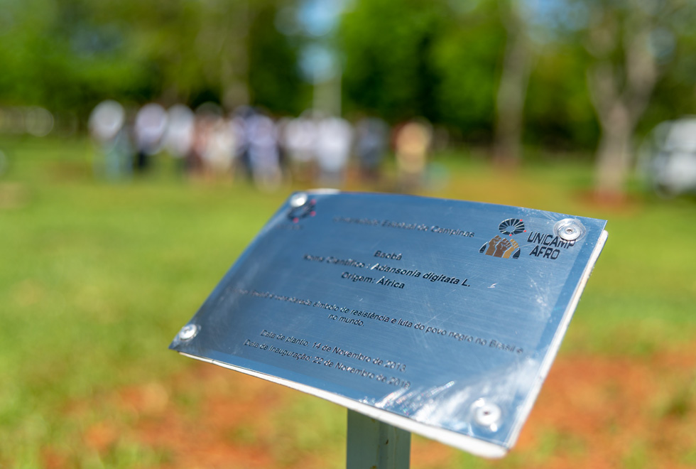 Baobá é plantado na Praça da Paz dentro da programação do Unicamp Afro