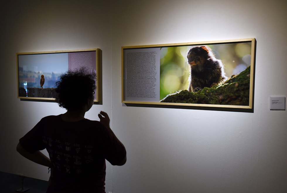 Exposição também conta com trabalhos fotográficos Exposição também conta com trabalhos fotográficos