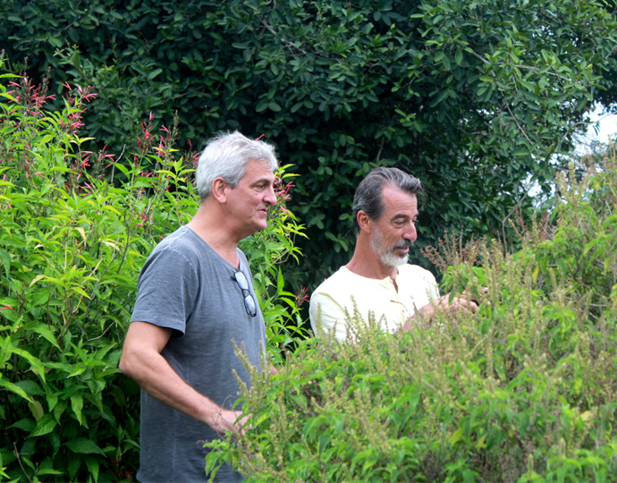 Pesquisadores Marcos Alves e Ílio Montanari em campo experimental no CPQBA Audiodescrição: pesquisadores Marcos Alves e Ílio Montanari em campo experimental no CPQBA