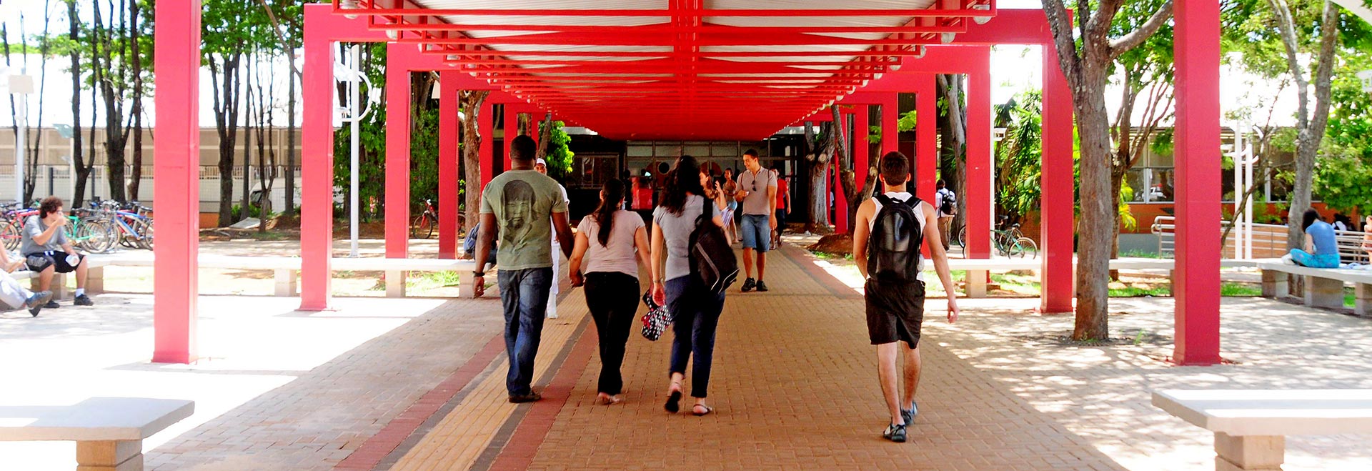 Unicamp terá núcleo de voluntariado para enfrentar coronavírus. Foto: Antonio Scarpinetti