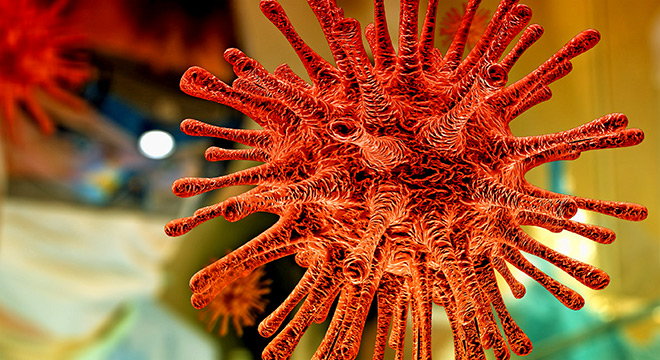 Coronavírus Coronavírus