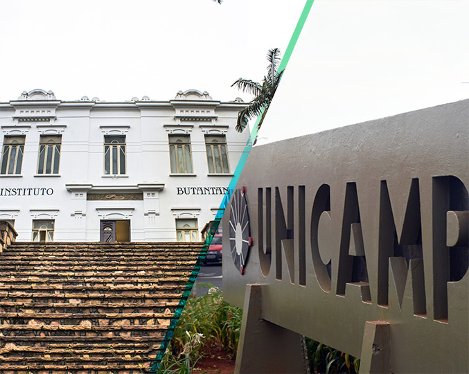 Materiais para testes foram enviados pelo Butantan à Unicamp audiodescrição: montagem de duas fotografias coloridas; uma da unicamp e outra do instituto butantan