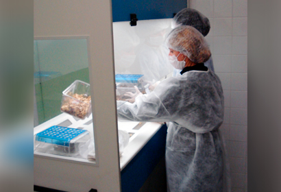 Pesquisadora manipula amostras de animais em laboratório 