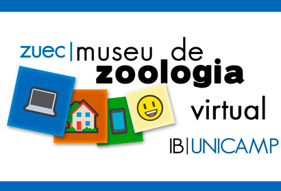 Os conteúdos foram produzidos pelos biólogos que atuam diretamente na exposição ao público logo do museu on line