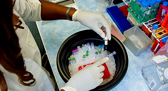 Embora essenciais, testes não garantem controle da epidemia,  dizem cientistas em webinário