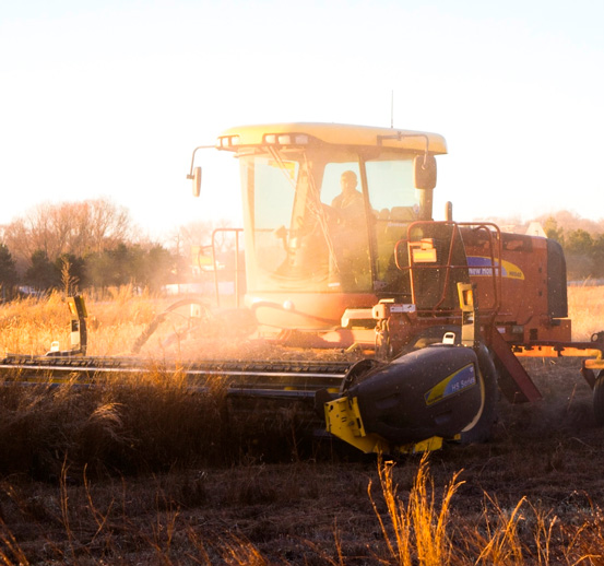 Uma máquina se movimentando em plantações agrícolas